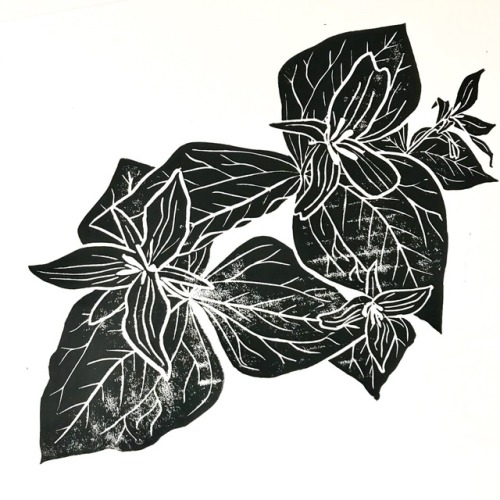 Trillium
Linoleum Block Print
9 x 12 inch. 2019. Ink on Paper
[[MORE]]