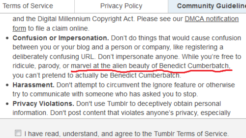 Tumblr T&C’s are sassy, now with added legibility!