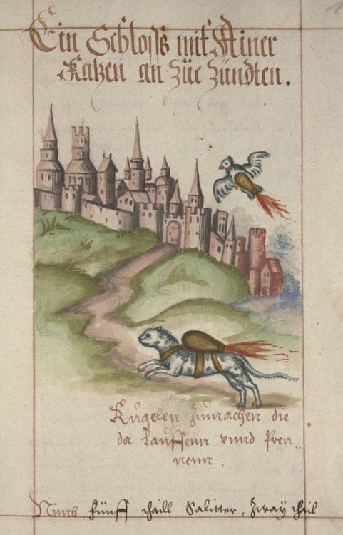 16th-century artillery manuals demonstrating how to use cats and birds to set fire to besieged citie