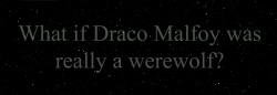 a-lot-of-stories-to-tell:  leradny:   sexyferret:   There are a lot of Harry Potter theories that have existed in the series’ fandom, such as Snape being a vampire or Sirius and Remus being secret lovers. Many of these theories have been contradicted