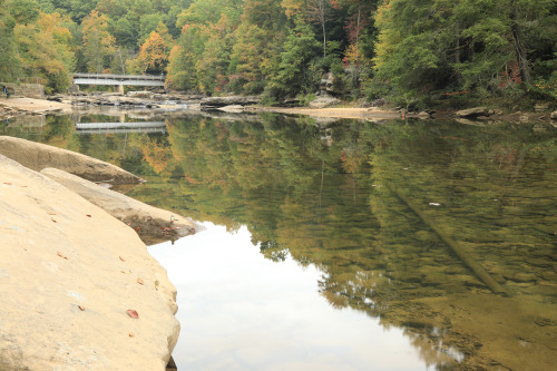 The Middle Fork River takes a gentle, gorgeous turn through the heart of Audra State Park, half a cr