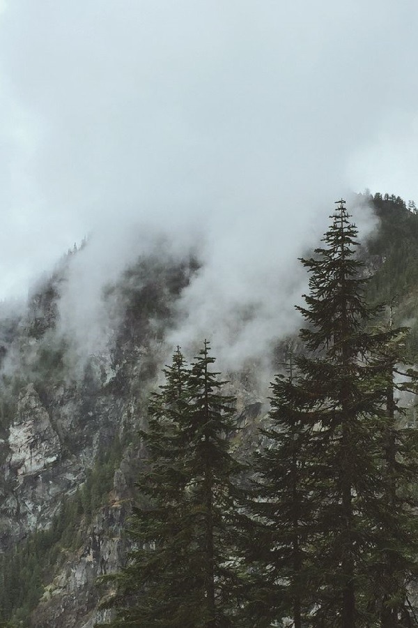 wolverxne:  No turning back | by: { Peterson Lee }  