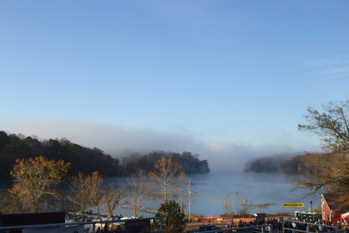 The Occoquan River, Around 9 In The Morning
