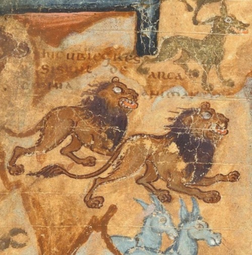 To the Ark, quick! — Where are the fucking unicorns?Biblia Pentateuchus. Spain of North Africa ~ 6th