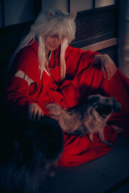 Bigger photo set of our InuYasha photo shoot! You can find the full set here.InuYasha: SchpogKagome: