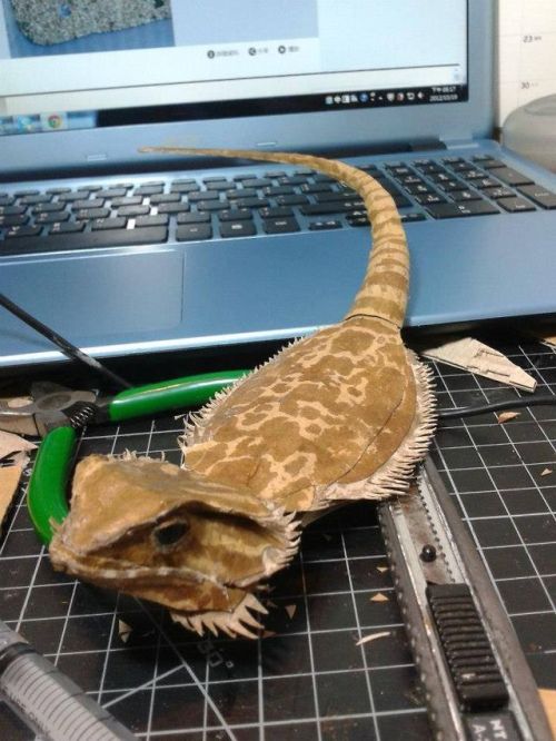 potentialforart: little-vince: Bearded Dragon with cardboard by cardboard artist 鍾凱翔 Zhongkai Xian