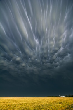 adqtvn:  Les tempêtes vues par Mike Hollingshead.
