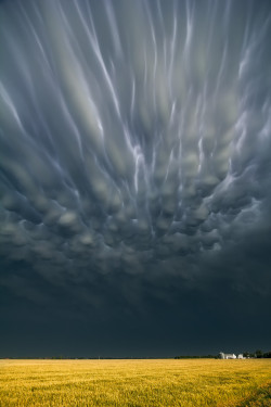 just-a-drawing-cat:  opticallyaroused:  Severe Skies: The Photography of Storm Chaser Mike Hollingshead  Q  Ahh, the skies of home!  Mind you these clouds make us start making sure things are nailed down so they don&rsquo;t get taken to Oz.