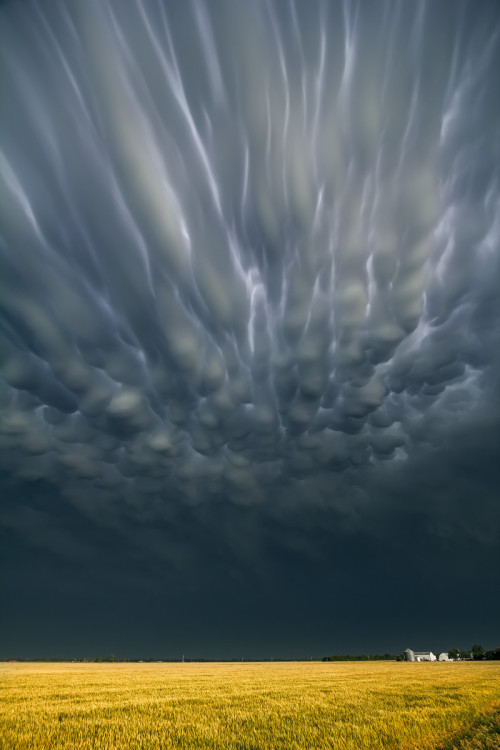 identifyassexy:  opticallyaroused:Severe Skies: The Photography of Storm Chaser Mike Hollingshead   dang