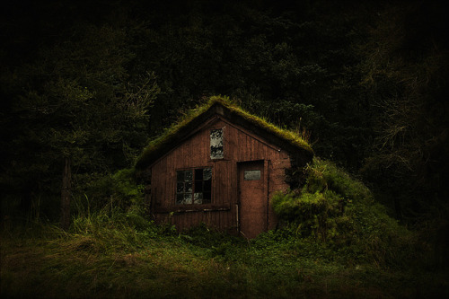 forintelse: deep in the woods by Heli Lehtonen on Flickr.
