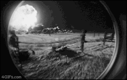 Karbeardog:  As Morbid As It Is This Gif Fascinates Me. 