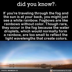 did-you-know:  If you’re traveling through