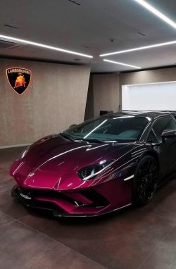 thinkup-infooh:  aventador aventador50th