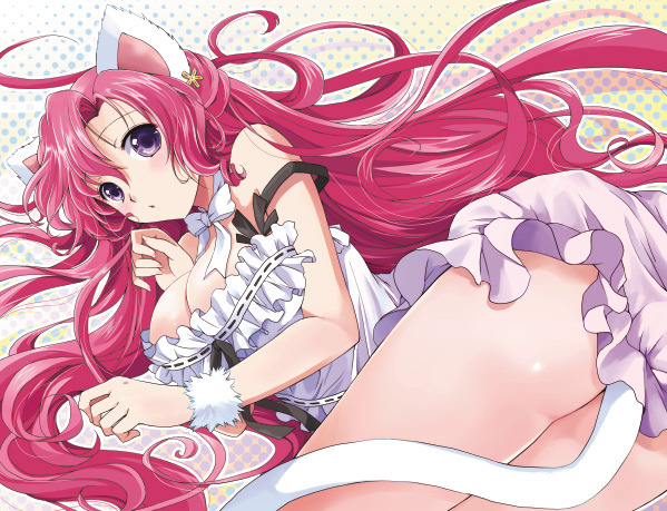 Sexy catgirls and stuff