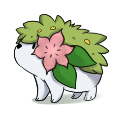 mega-luxrite:  Made a Shaymin doodle!! ;v;Both