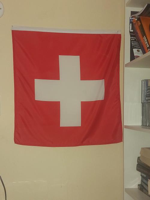 Finally put up my first flag, it’s a start from /r/vexillology Top comment: Displaying your fi