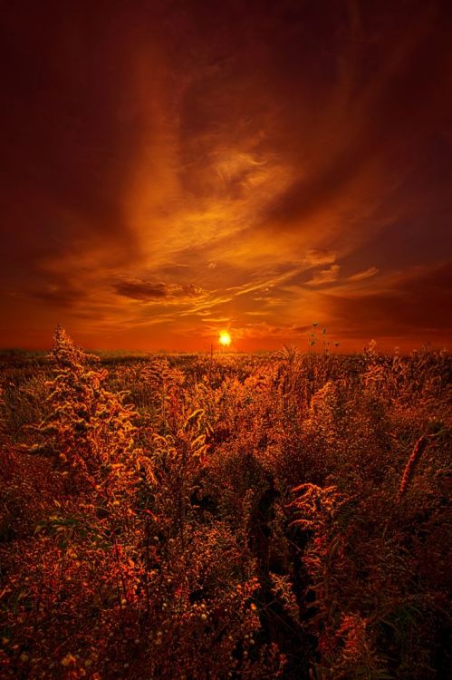 maya47000:And The Sun Rose Yet Again by Phil Koch 