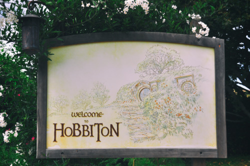 New Zealand Adventure: Hobbiton Did you know that there’s ranking in the Hobbit’s houses based where