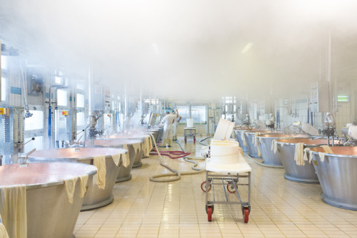 A Parmigiano Steam BathLocation: Castelnovo Sotto, ItalyWhile count ourselves amongst the world’s mo