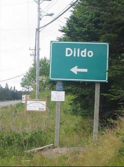 sex-obsessed-lesbian: pruningthemindsgarden:  sixpenceee:   Dildo is a town in Newfoundland. They have an annual festival known as Dildo Days, which is led by their mascot, Captain Dildo. @sixpenceee   Makes me think of a story my wife tells about an