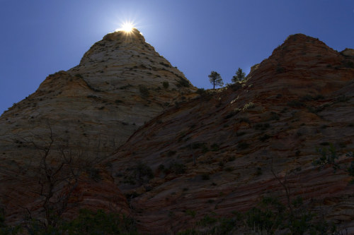 standavis:Pine Valley Peak in Zion’s Kolob, Utah by swissuki https://flic.kr/p/2ig2ALD