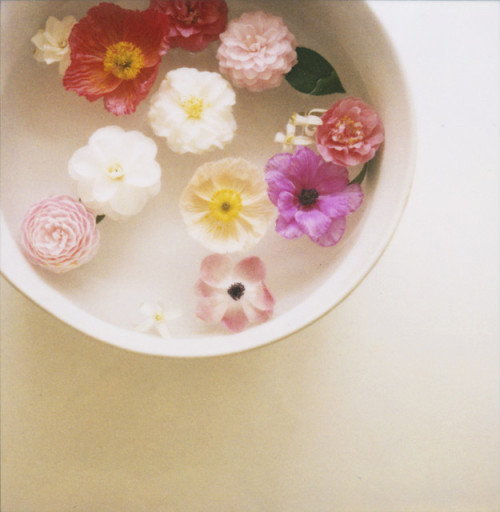 englishsnow:   Jen Gotch      