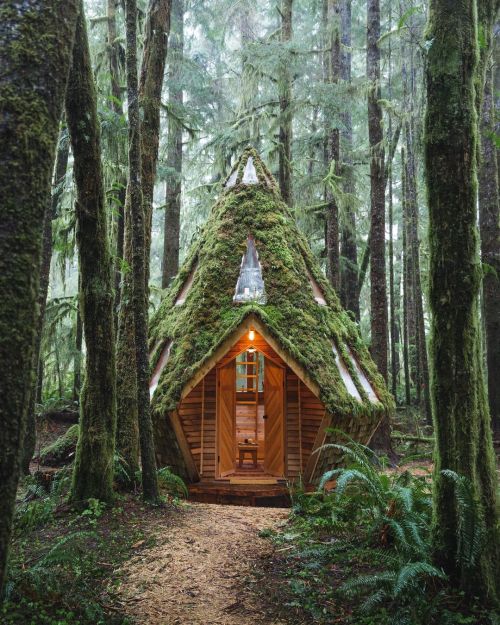 wild-cabins:    James Lloyd Cole  