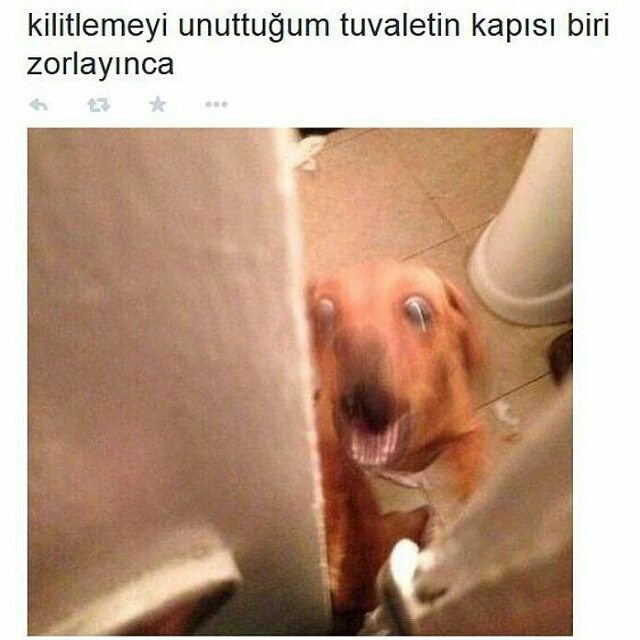 Kilitlemeyi unuttuğum...