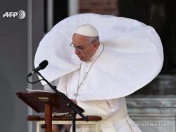 jimhines:  Papal threat display. Popes can also spit holy venom up to twenty feet.  