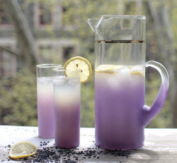 fuckyouimpurple:  Lavender Lemonade  4 tbsps (&frac14; cup) culinary lavender* 2 cups boiling water 2/3 cup sugar 1 1/2 cups fresh lemon juice (about 8 lemons) 2 cups cold water * Culinary lavender is lavender harvested for the purposes of cooking/eating.