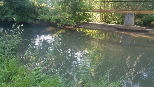 Morning Walk 