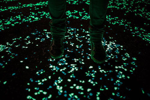 beben-eleben:Solar-Powered Glowing Bicycle Path In Netherlands Inspired By Van Gogh’s Starry Night