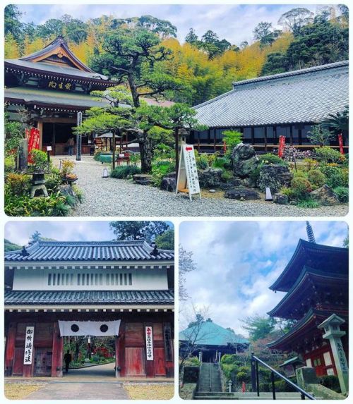 ＼おにわさん更新情報／ ‪[ 静岡県袋井市 ] 油山寺庭園 Yusan-ji Temple Garden, Fukuroi, Shizuoka の写真・記事を更新しました。 ―― #源頼朝 に寄進され