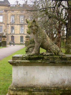 thefullerview: Chatsworth Fox (by Bombarde01)