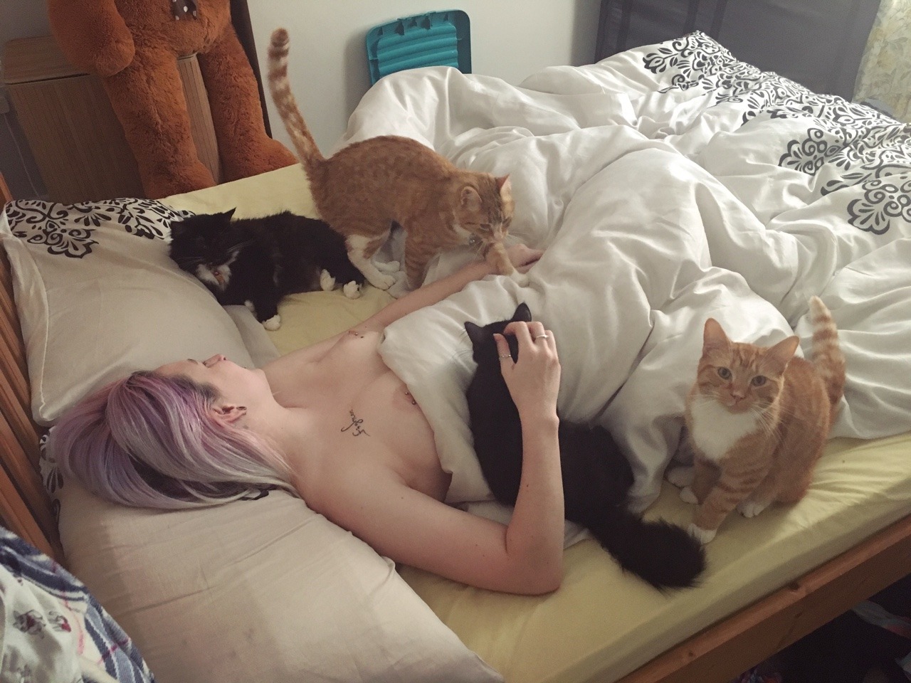 lost-lil-kitty:  The perfect life.