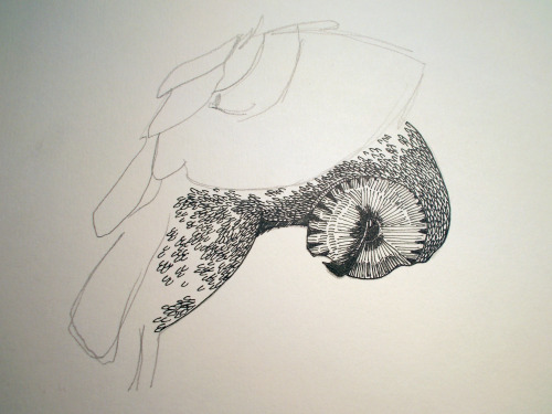 the last fine liner 