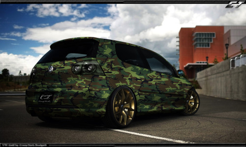 everyonelovesvwgolfs:  Shhhh they can’t see us in this