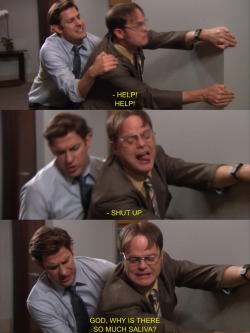 myfaerytale:  Jim and Dwight…at their best.