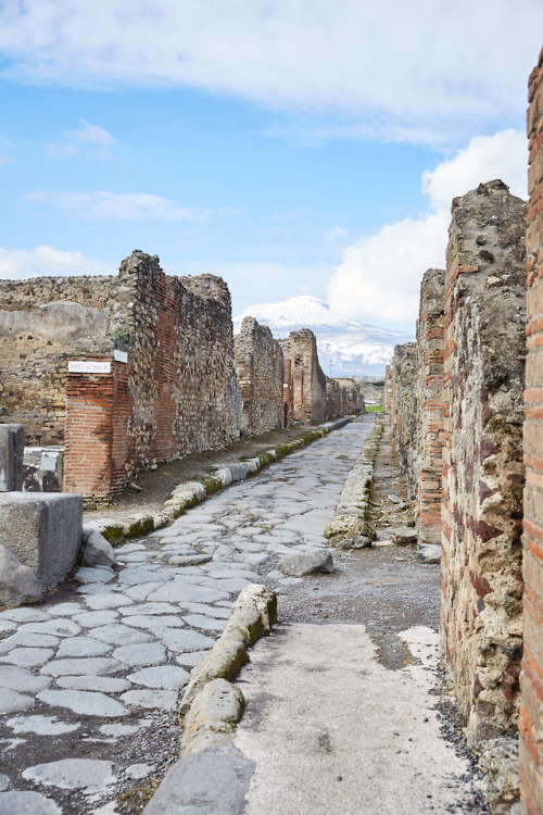 lifeofshralp:Mount Vesuvius in the background