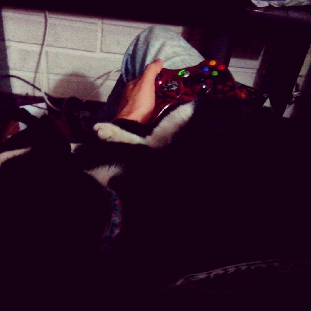 Y así como fallar si me ayuda la mejor #Xbox360 #xboxlive #multiplayer #gow #cat