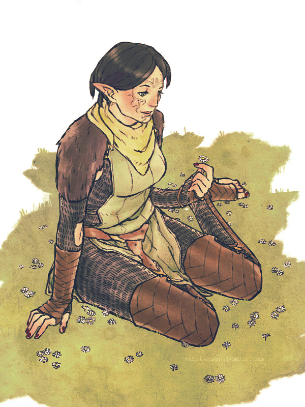 sabotensan:Field of daises