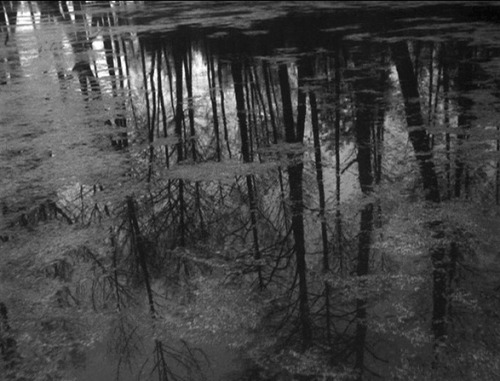 fennist:the house is black by forough farrokhzad / ivan’s childhood by andrei tarkovsky