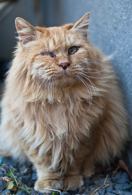 galudriel:  长者 by Eagle’s eyes on Flickr.