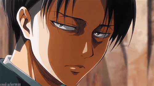 Levi's Eyes' Appreciation Post: