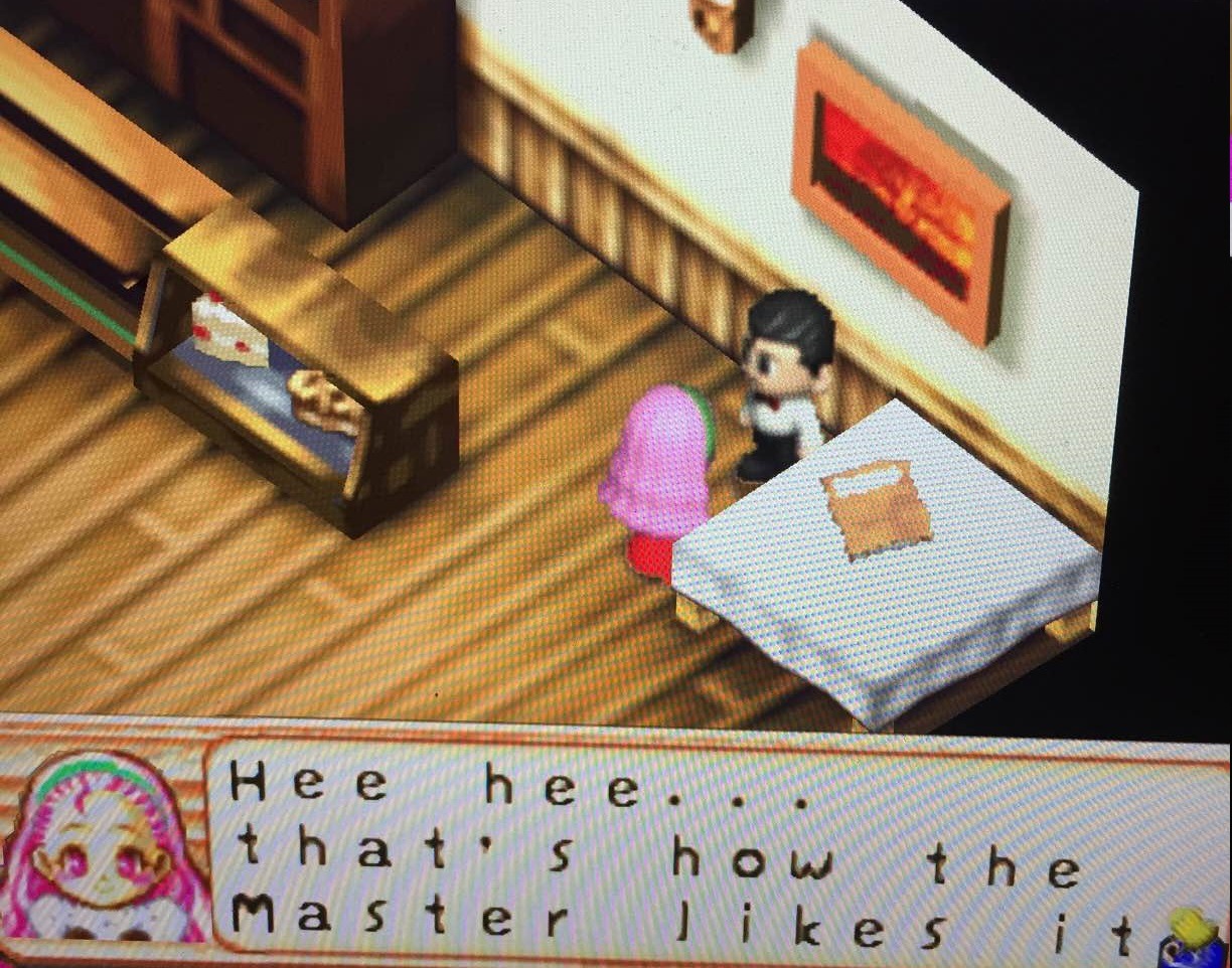 Isn T There Something Exciting In This World The Older Harvest Moon Games Decided To Translate Isn T There Something Exciting In This World The Older Harvest Moon Games Decided To Translate