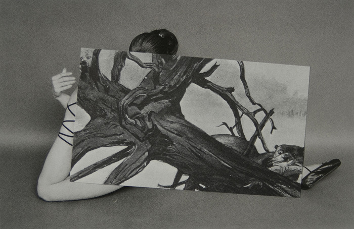 dennis busch