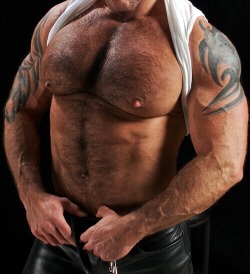 Bearloverdeluxe's muscle bears