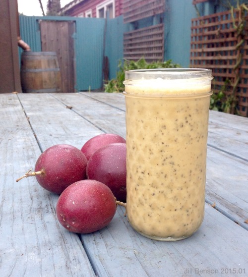 paleo-experiment: Passion Fruit Protein Smoothie.