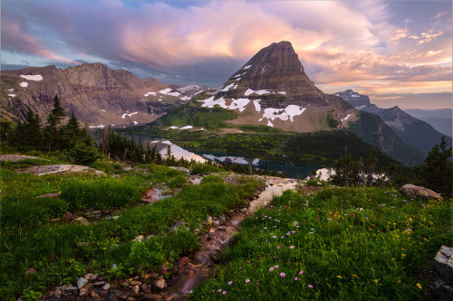 expressions-of-nature: Bearhat Moment by Michael Bollino ( website ) ( instagram ) ( facebook ) Rock