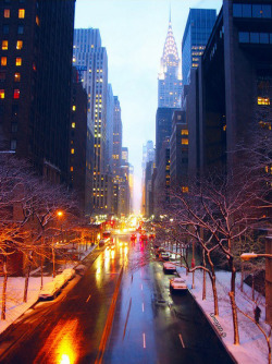 newyorkcityfeelings:  New York City by houry
